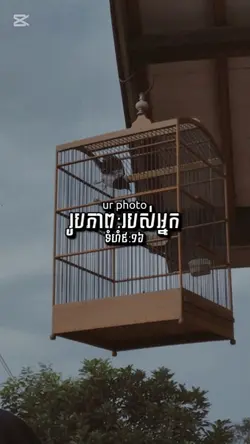៤រូប