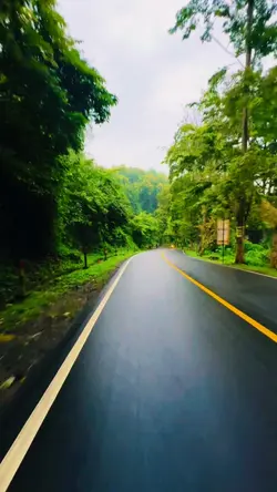 mini vlog
