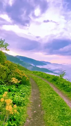 NICE VIEW 