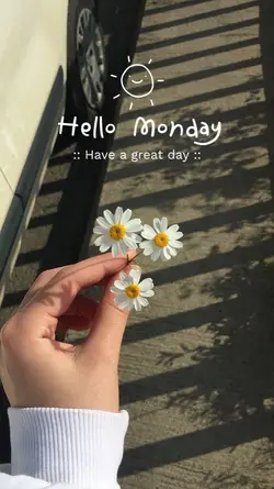 Hello Monday