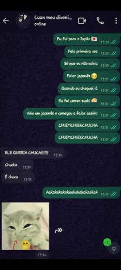 Eu fui pra o Japão