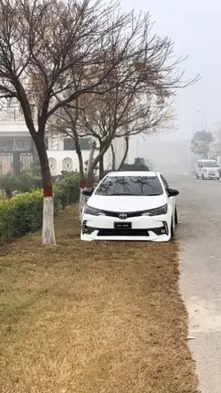 tu haseen