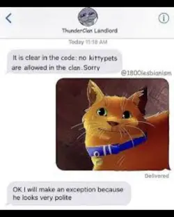 warrior cats memes