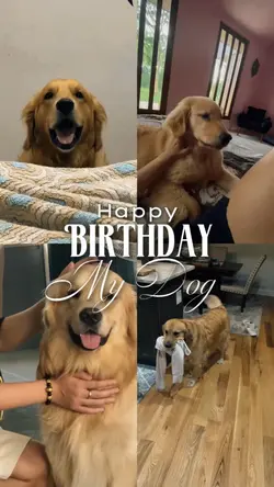 Birthday My Dog 