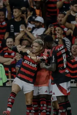 Flamengo edit