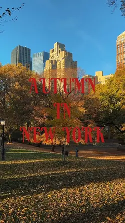 AUTUMN IN NEWYORK