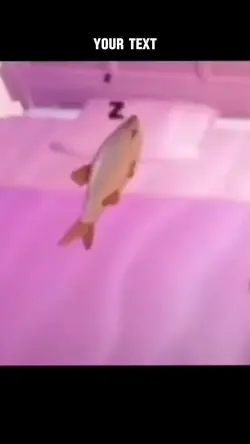 Fish sleeping 