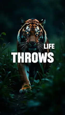 LIFE QOUTES 