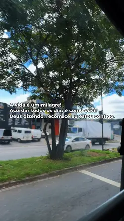 A vida é um milagre 