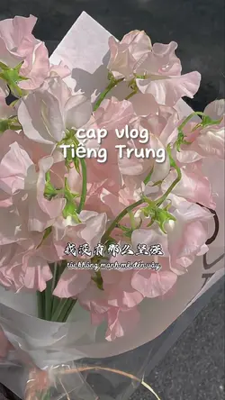mẫu tiếng trung