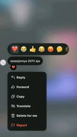 2011
