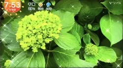アニメーション
