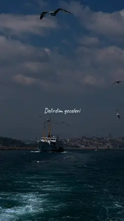 Hadise Ara beni söz