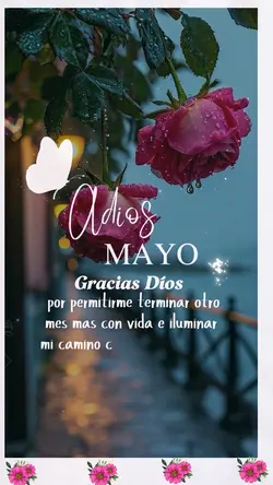 Adiós ✌️ Mayo ❤️‍🩹✨