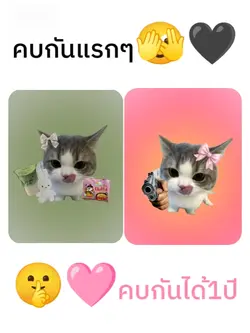 คบกันแรกๆ~คบกัน 1 ปี