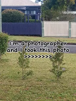 I am a photographer 