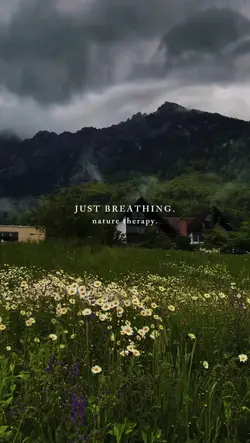 nature therapy