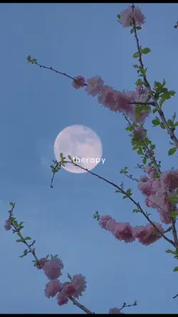 therapy