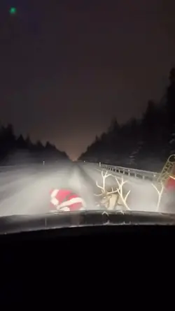 Santa claus