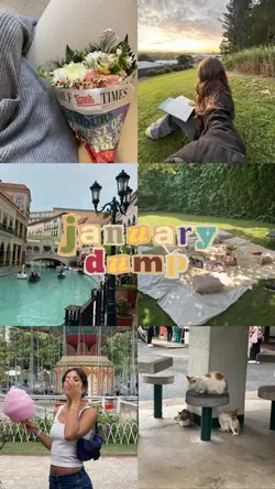 6pics january dump