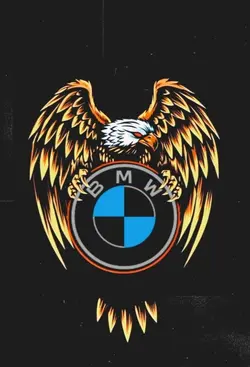 FREE BMW EDIT