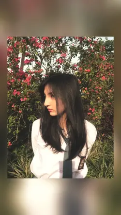 aesthetic