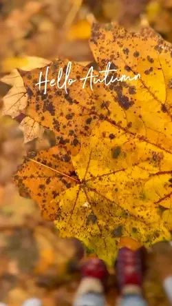 Hello Autumn. 