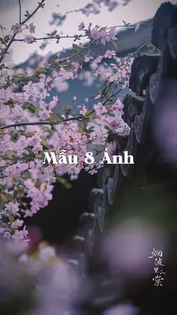Mẫu 8 Ảnh