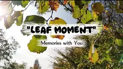 Leaf Moment
