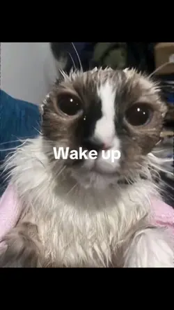 Wake up earlier