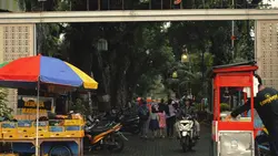 Teh Hijau Tulus V2