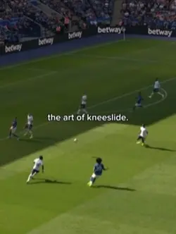 BEST kneeslides