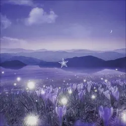 Spinning star