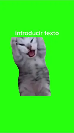 gato plantilla