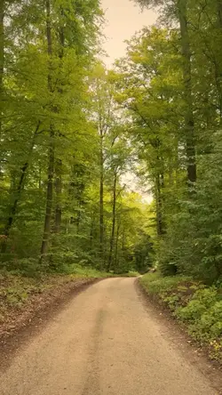 Back to Nature 