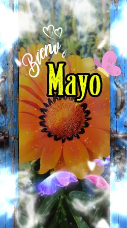 Bienvenido Mayo