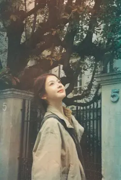 mẫu 1 ảnh 