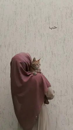 Karo kucing 