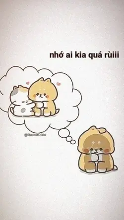 mẫu nhẹ nhàng 