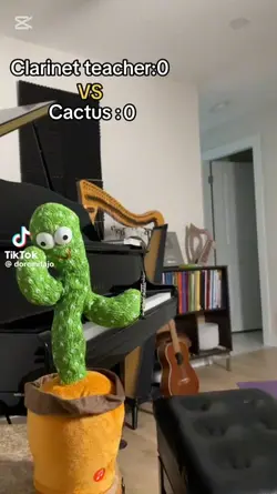 Those Silly Guys