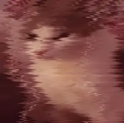 shake temp