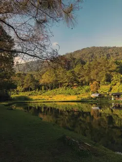 pemandangan estetik