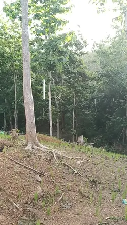 mini vlog