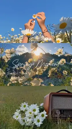 Spring Moment