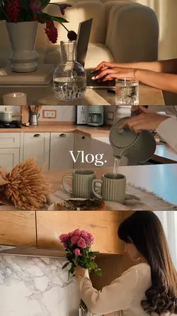 Today's vlog
