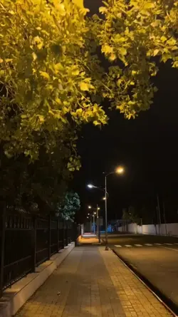 Kötü Kalpli Bir 