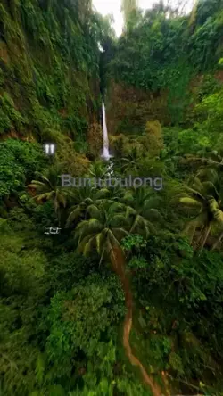 takas bundok