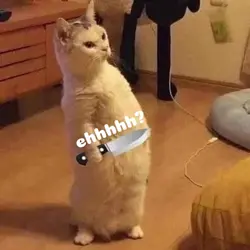 eh eh ehhhh?