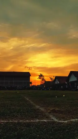 filter sunset