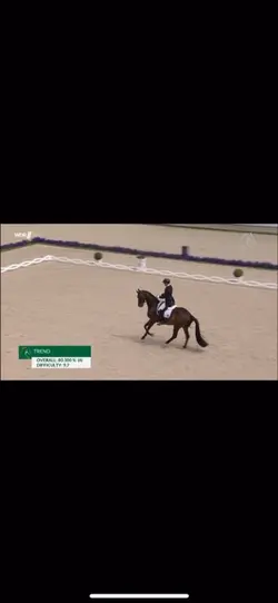 Dressage 💕